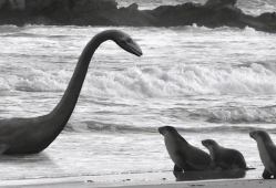 水怪视频,视频揭秘神秘生物之谜